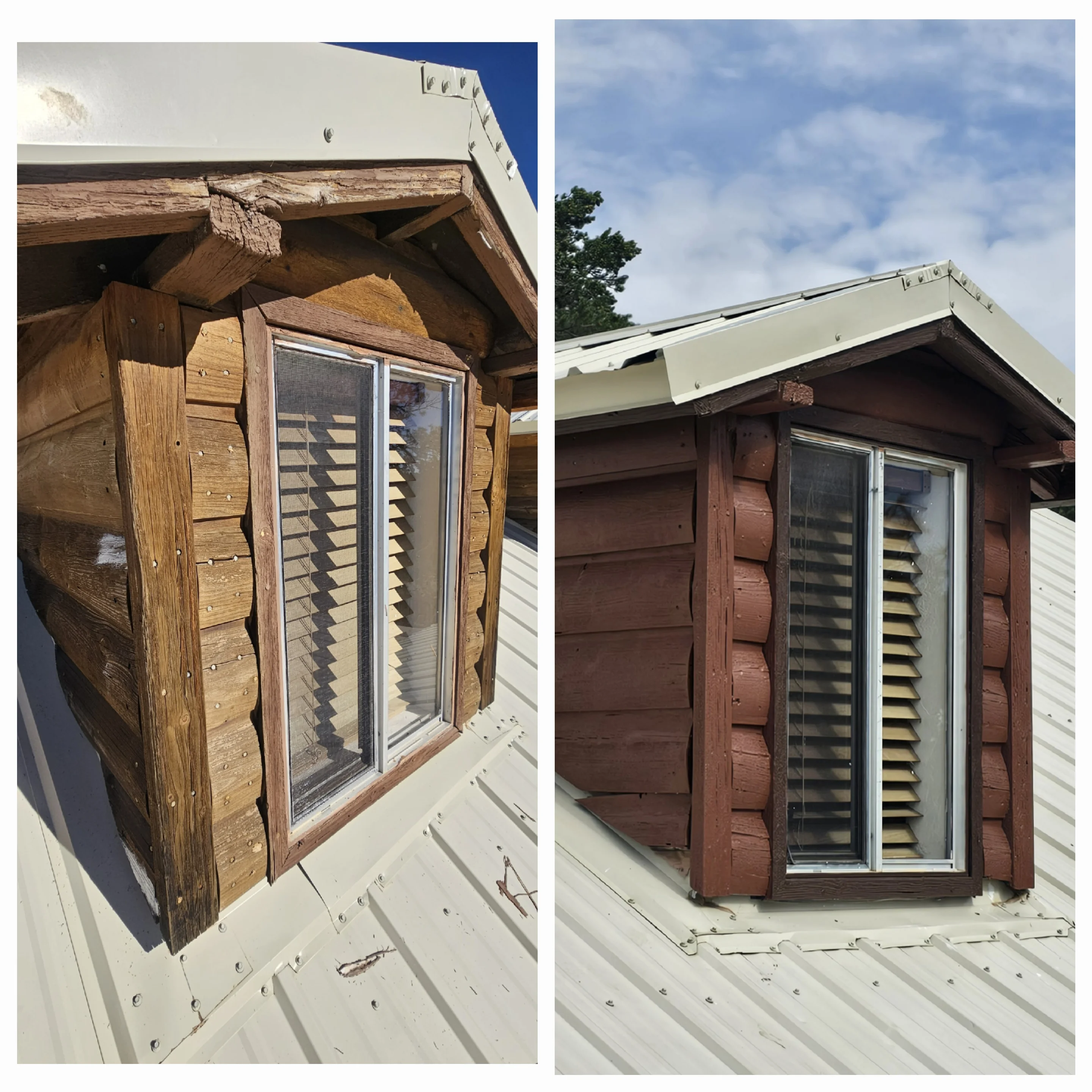 Before and after log cabin exterior staining and trim painting with new windows installed